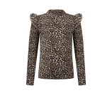 Kleur bruin