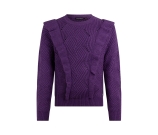 Kleur paars