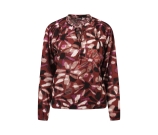 Kleur rood