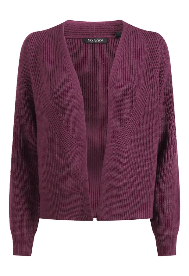 So Soire Dames Vesten lange mouw purper W20579/Alike So Soire Dames Vesten lange mouw purper W20579/Alike