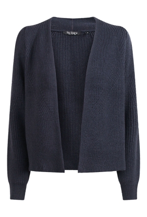 So Soire Dames Vesten lange mouw navy W20579/Alike So Soire Dames Vesten lange mouw navy W20579/Alike