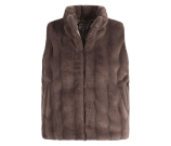 Kleur bruin