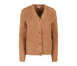 Kleur beige
