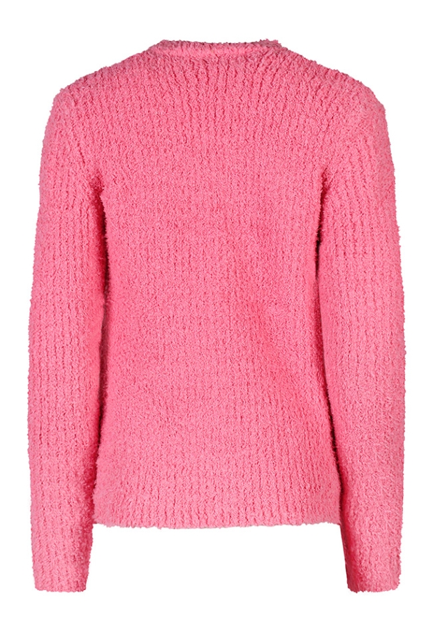 Citylife Dames Vesten lange mouw roze W20534/304701