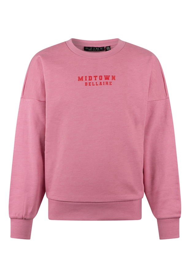 D-zine Meisjes Sweaters pink W20205/Bambi