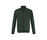 Kleur groen