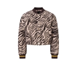 Kleur bruin