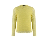 Kleur groen