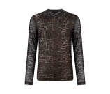 Kleur bruin
