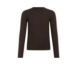 Kleur bruin