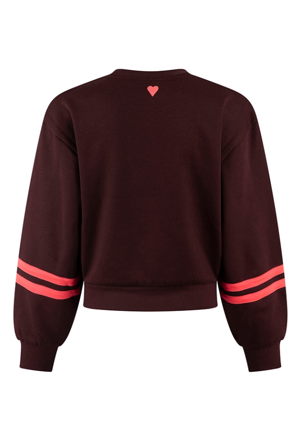 D-zine Dames Sweaters bordeaux W20127/Belinay D-zine Dames Sweaters bordeaux W20127/Belinay
