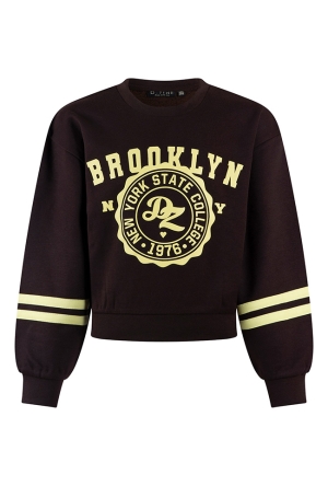 D-zine Dames Sweaters brown W20127/Belinay