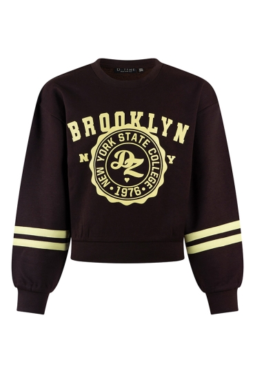 D-zine W20127/Belinay DONKER BRUIN  brown