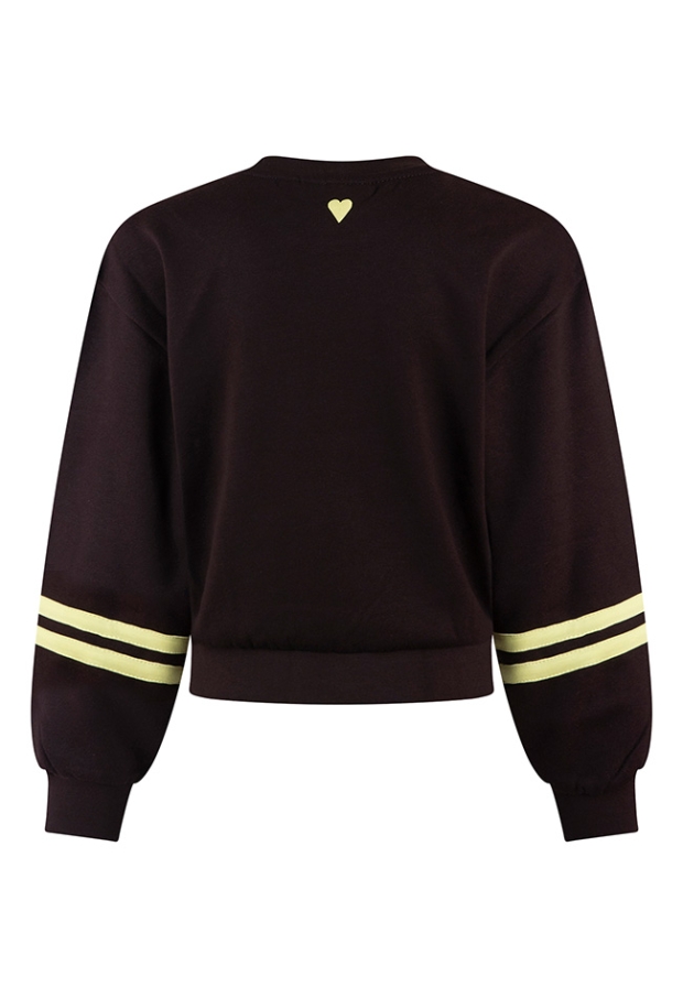 D-zine Dames Sweaters brown W20127/Belinay D-zine Dames Sweaters brown W20127/Belinay