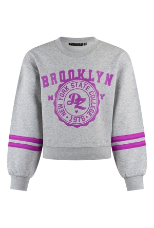 D-zine Dames Sweaters grey melee W20127/Belinay D-zine Dames Sweaters grey melee W20127/Belinay