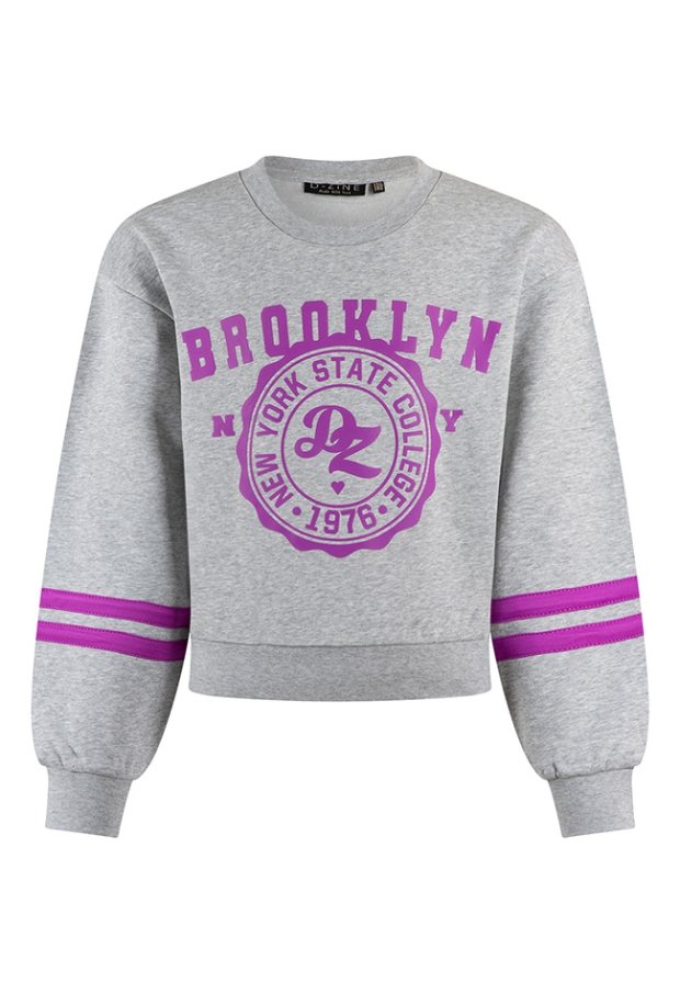 D-zine Dames Sweaters grey melee W20127/Belinay