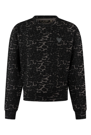 D-zine Meisjes Sweaters grey W20138/Bernice D-zine Meisjes Sweaters grey W20138/Bernice