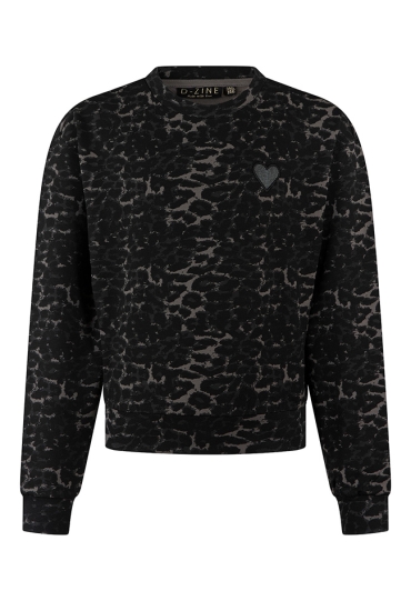 D-zine Meisjes Sweaters grijs W20138/Bernice D-zine Meisjes Sweaters grijs W20138/Bernice