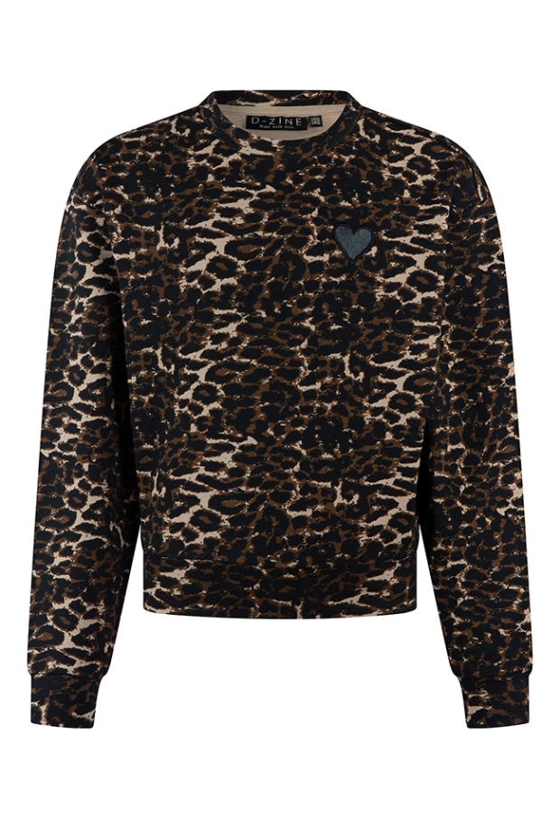 D-zine Meisjes Sweaters brown W20138/Bernice