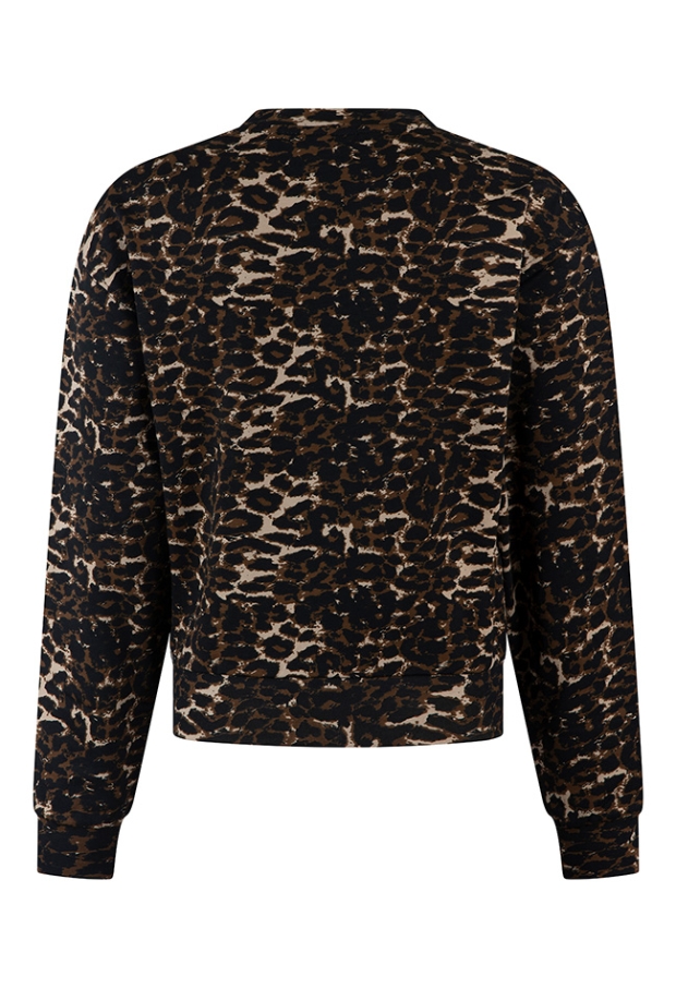 D-zine Meisjes Sweaters brown W20138/Bernice
