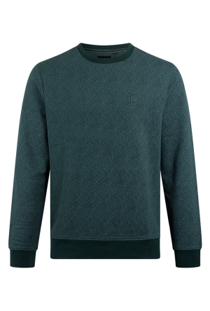 Stonecast Heren Sweaters teal green W20489/Borjan men