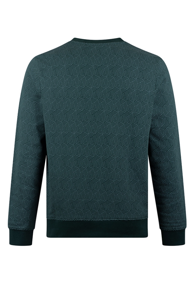 Stonecast Heren Sweaters teal green W20489/Borjan men Stonecast Heren Sweaters teal green W20489/Borjan men