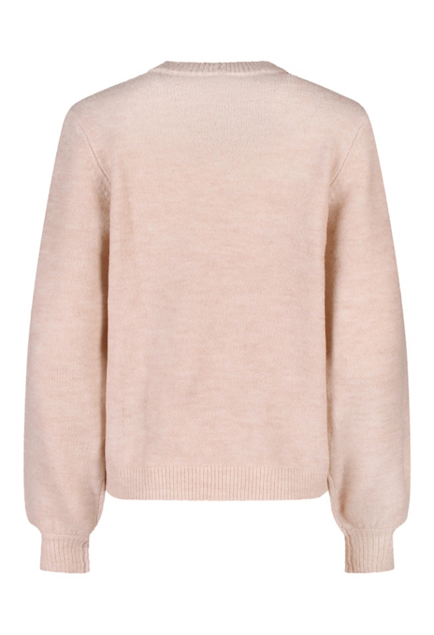 Citylife Dames Truien beige melee W20450/Fleur Citylife Dames Truien beige melee W20450/Fleur