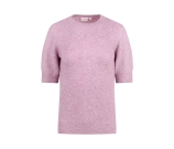Kleur paars