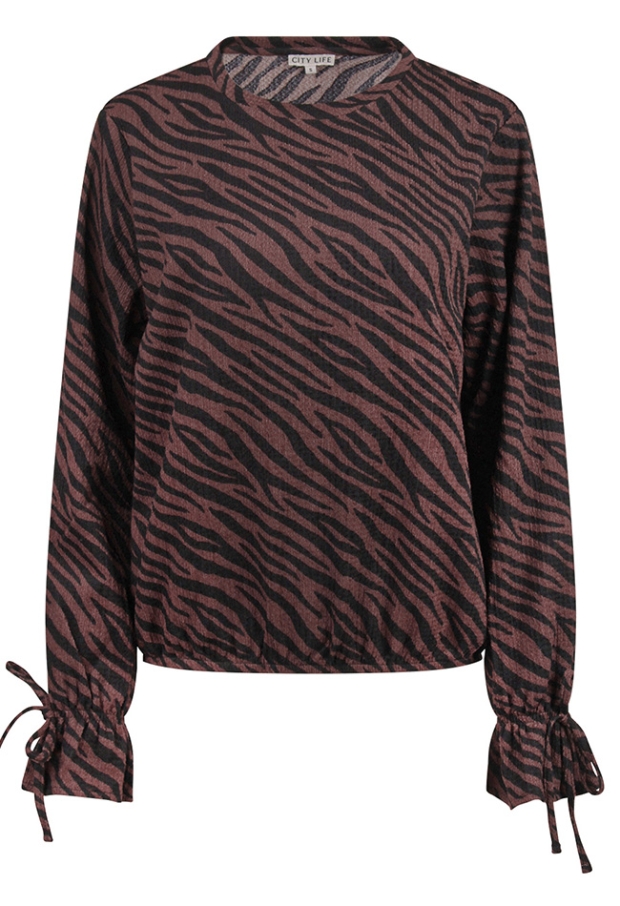 Citylife Dames Tops lange mouw bruin W20453/Dana Citylife Dames Tops lange mouw bruin W20453/Dana