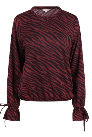 Citylife Dames Tops lange mouw cabernet W20453/Dana Citylife Dames Tops lange mouw cabernet W20453/Dana