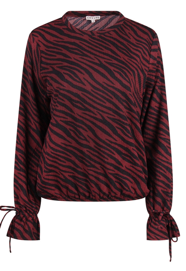 Citylife Dames Tops lange mouw cabernet W20453/Dana