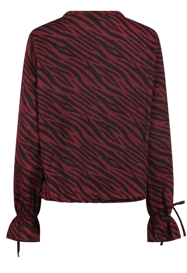 Citylife Dames Tops lange mouw cabernet W20453/Dana