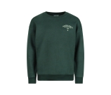 Kleur groen