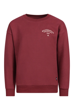 Unlocked Jongens Sweaters deep red W20540/544112