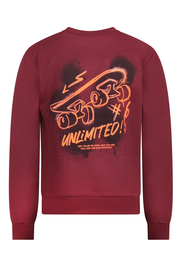 Unlocked Jongens Sweaters deep red W20542/544113