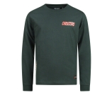 Kleur groen