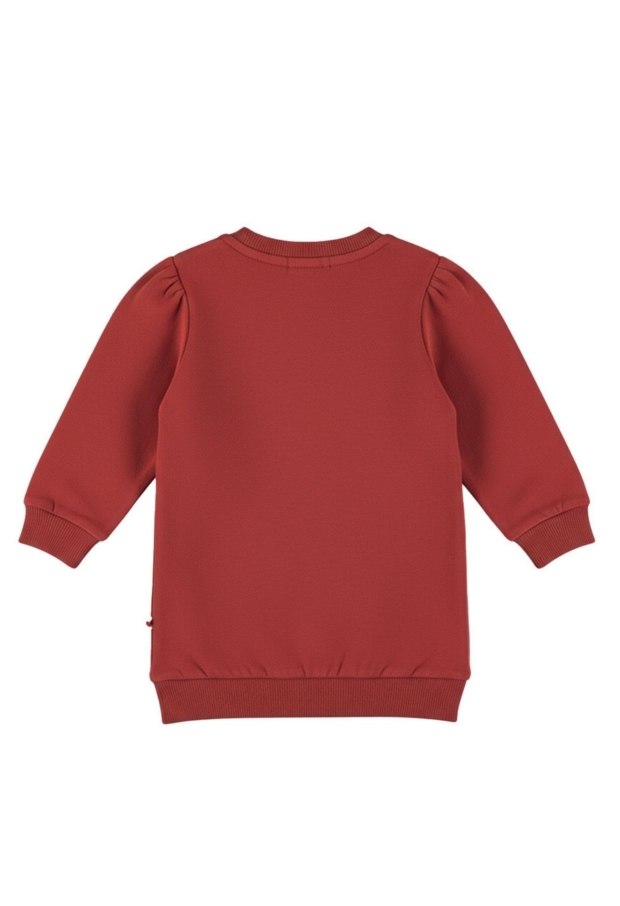 Dirkje Baby meisjes Jurken Rosewood M60487-35 Dirkje Baby meisjes Jurken Rosewood M60487-35