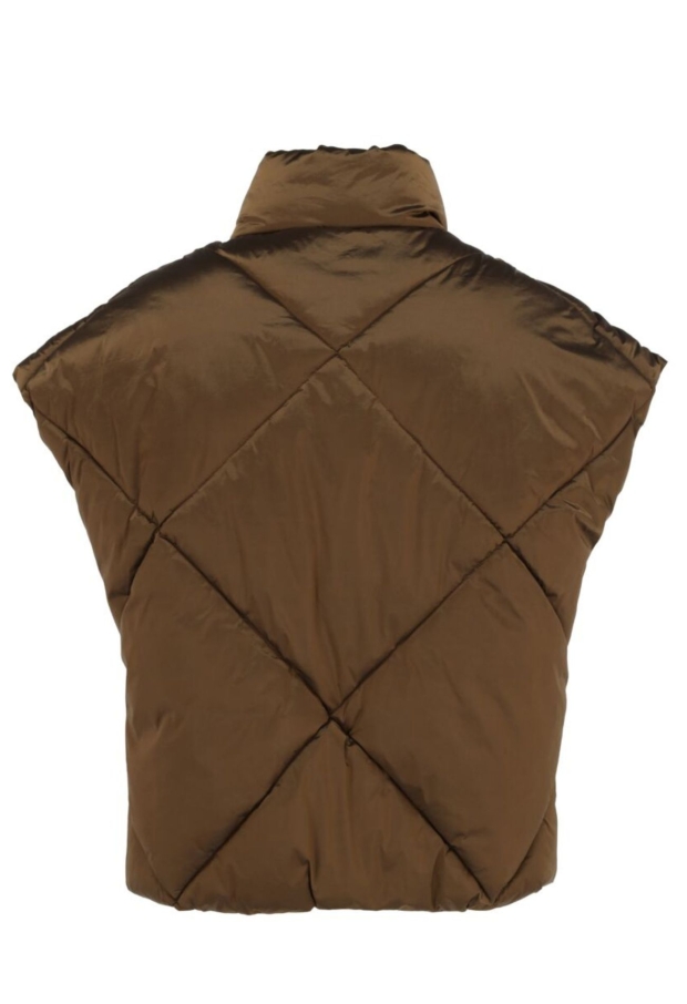 MF006804363W-01 Bruin