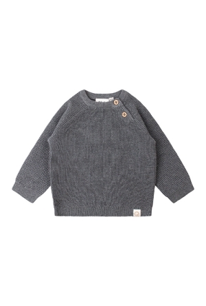 Flinq Newborn Truien greyblue W20394/Daan