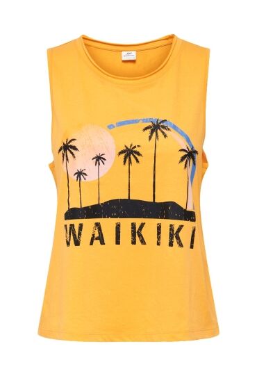 JDY 15201116 zalm  kumquat