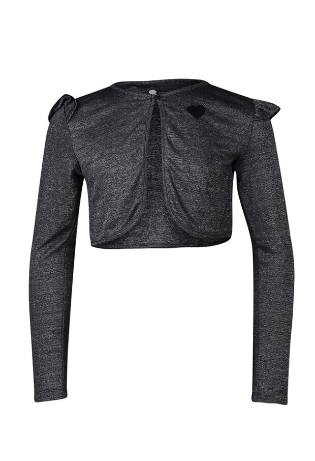 W60576/2310650 zilver