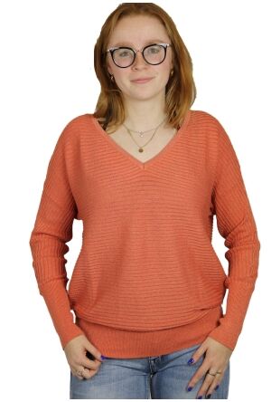 CL Essentials Z60445/Roos PERZIK  apricot brandy