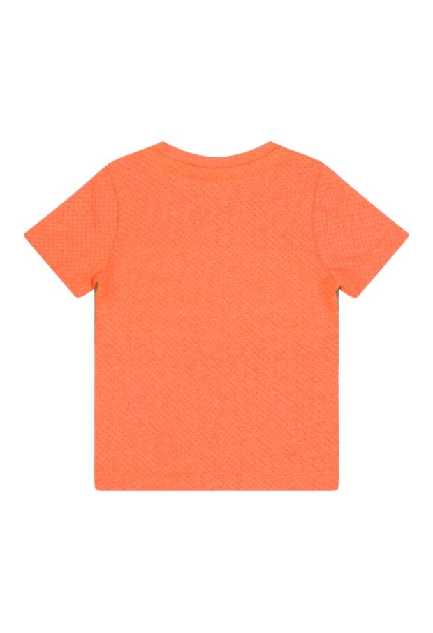 Z60277/2411607 FEL ORANJE 