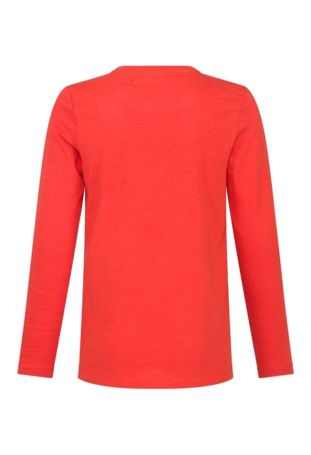 W70314/2517601 terra 