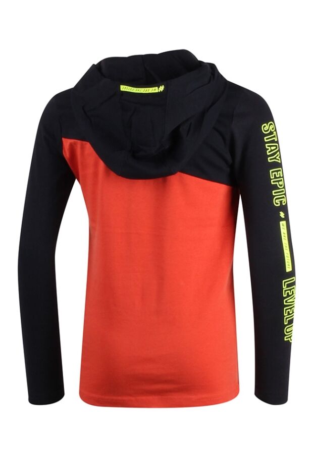 W70323/2517605 terra 