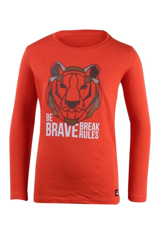 W70325/2517607 terra 