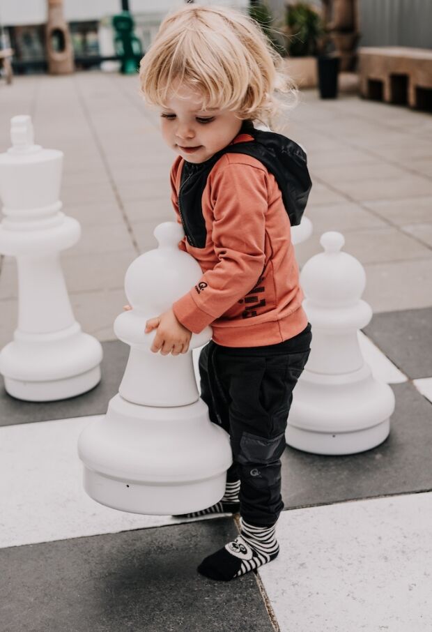 W70341/2511403 terra 