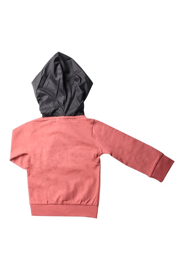 W70341/2511403 terra 