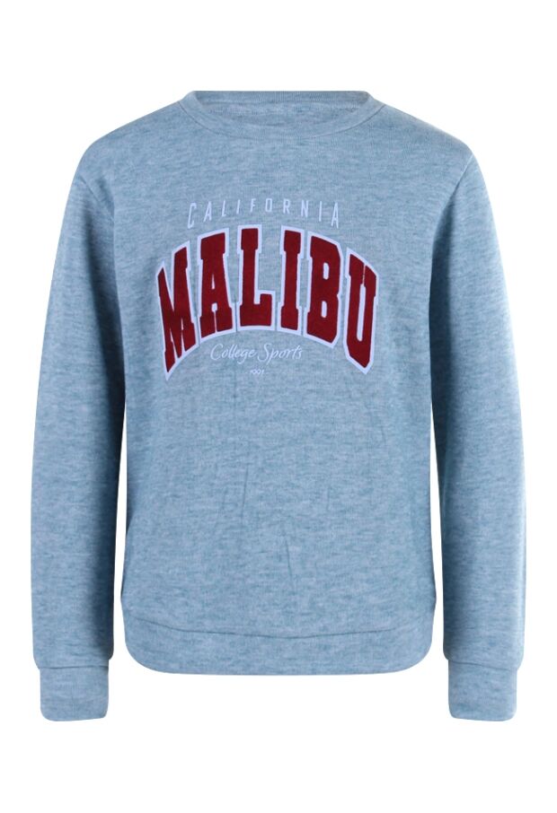 W70433/BC90681 petrol 