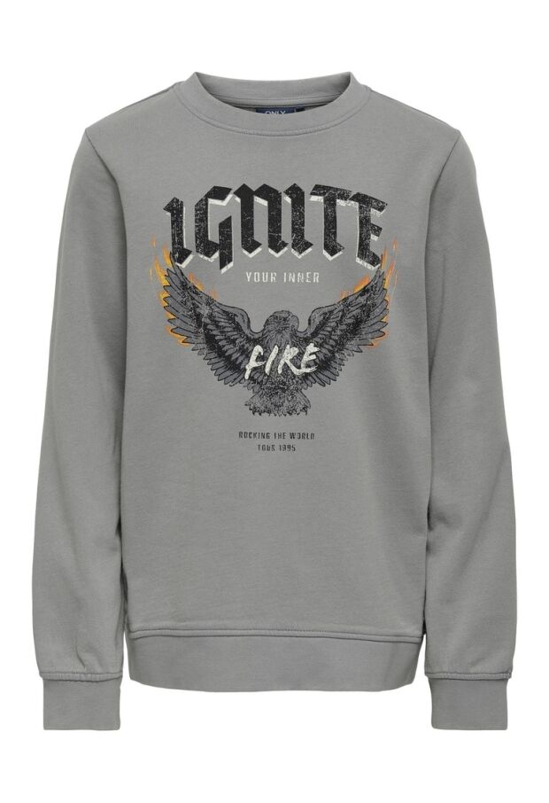 15276988 Sharkskin/IGNITE 